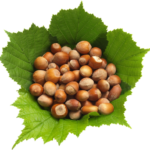 RgamGrsK5OnAu4FAjv46T2SQTmc